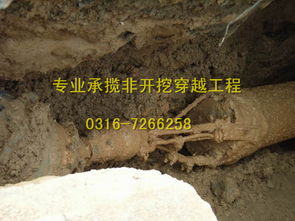 天津過道頂管施工在環保工程中的應用與優勢