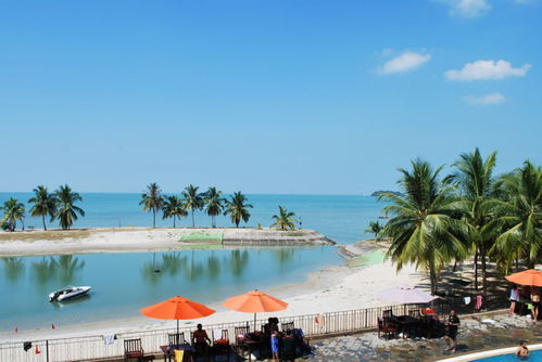 海外市場再添新篇 成功簽約馬中關(guān)丹產(chǎn)業(yè)園公輔單元節(jié)能環(huán)保工程