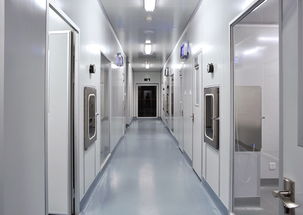 奉賢電子廠與食品廠裝修及軟件開發(fā) 現(xiàn)代產業(yè)升級的融合路徑